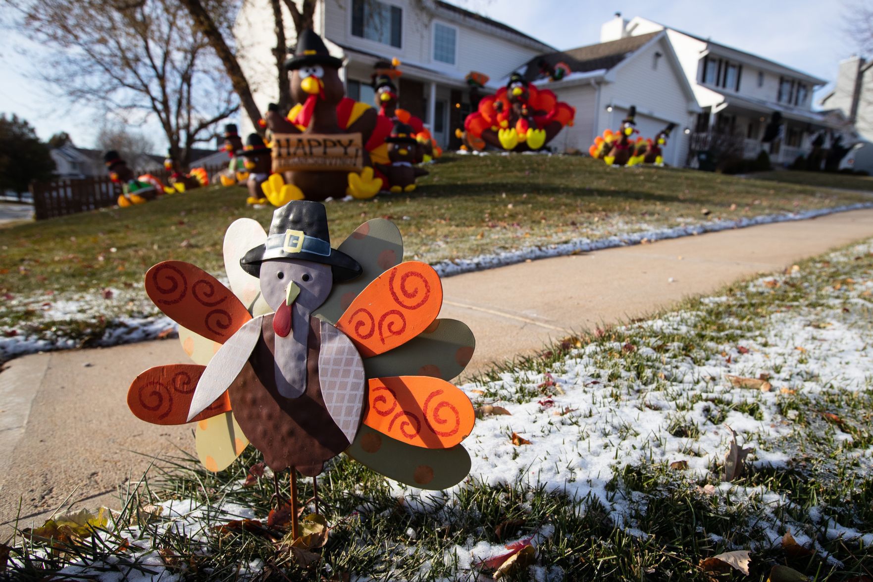 Turkey wars